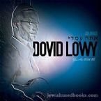 Dovid Lowy - You are with Me (CD)